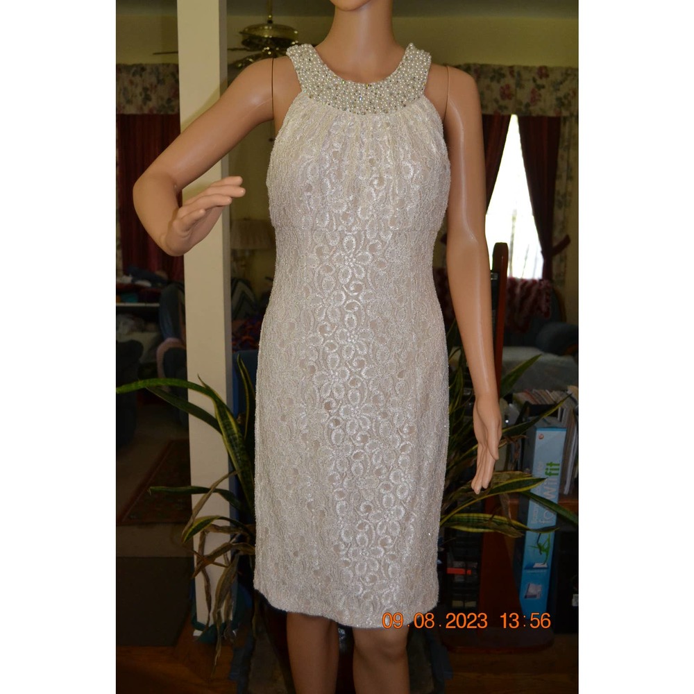Vintage Cachet Lace and Pearl  Bead Dress  (8)